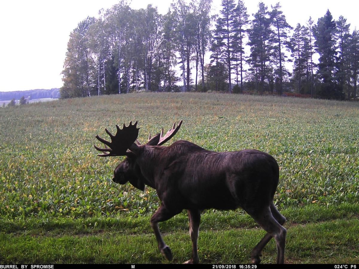 Виллы Countryside Villa Skogsbacka Таммисаари